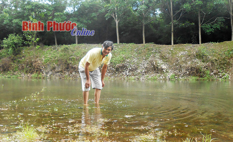 Ích lợi từ mô hình ao - vườn