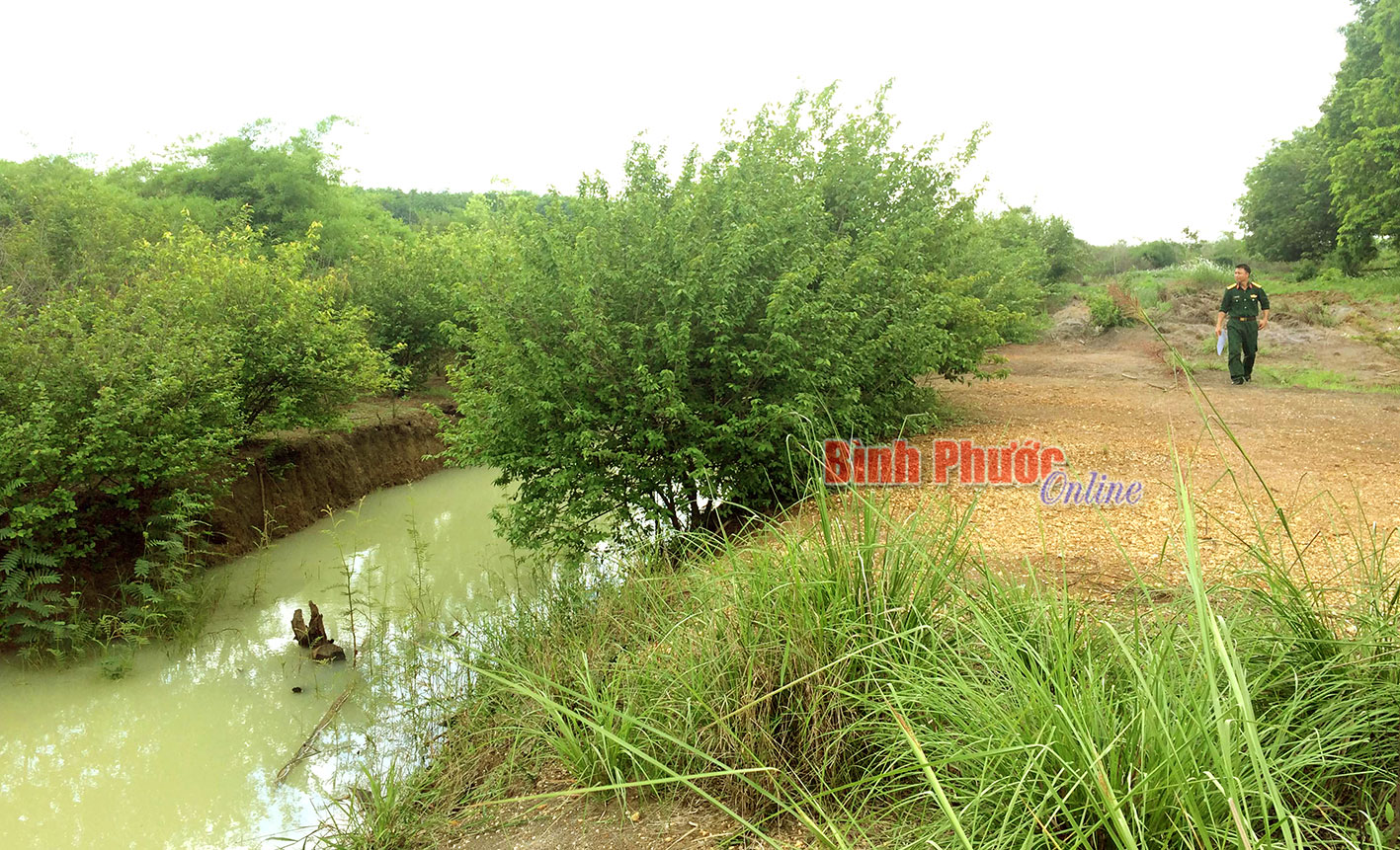 Sự thật sau lá đơn tố cáo Trung đoàn 717