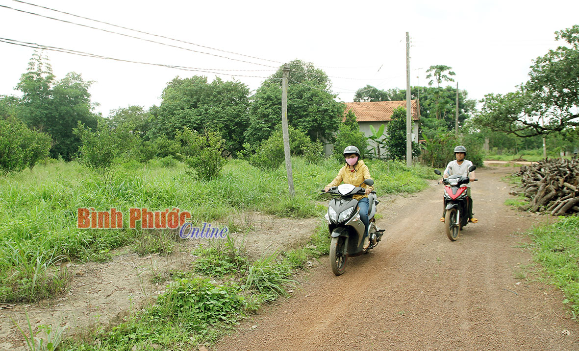 Đâu là chân tướng vụ việc?