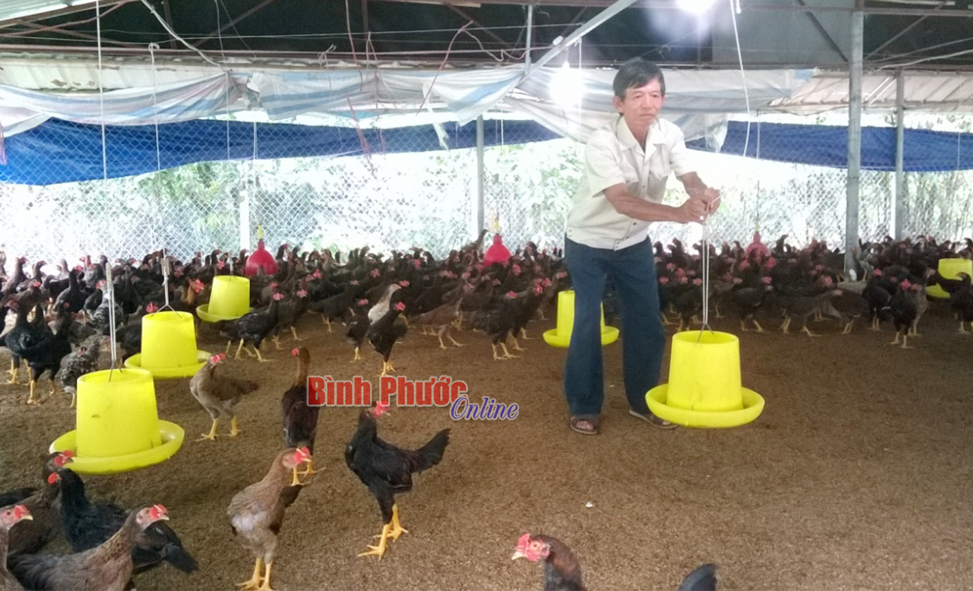 Phát huy hiệu quả vốn vay ưu đãi