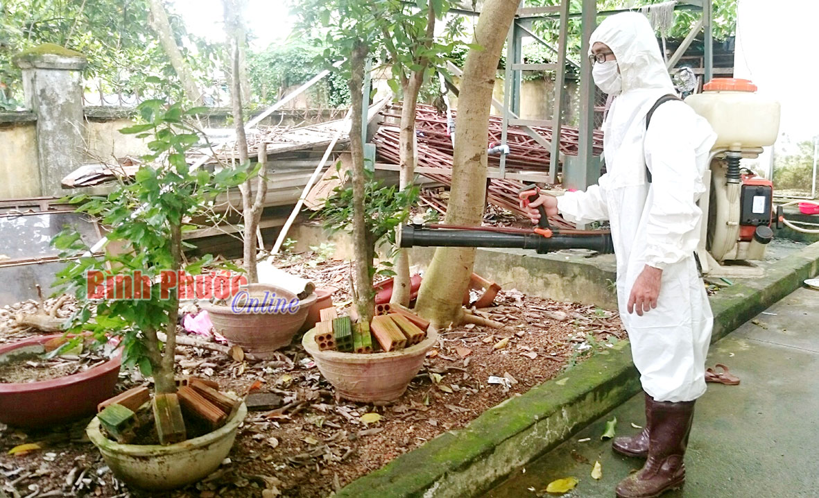 Đồng Xoài tăng cường phòng, chống bệnh sốt xuất huyết