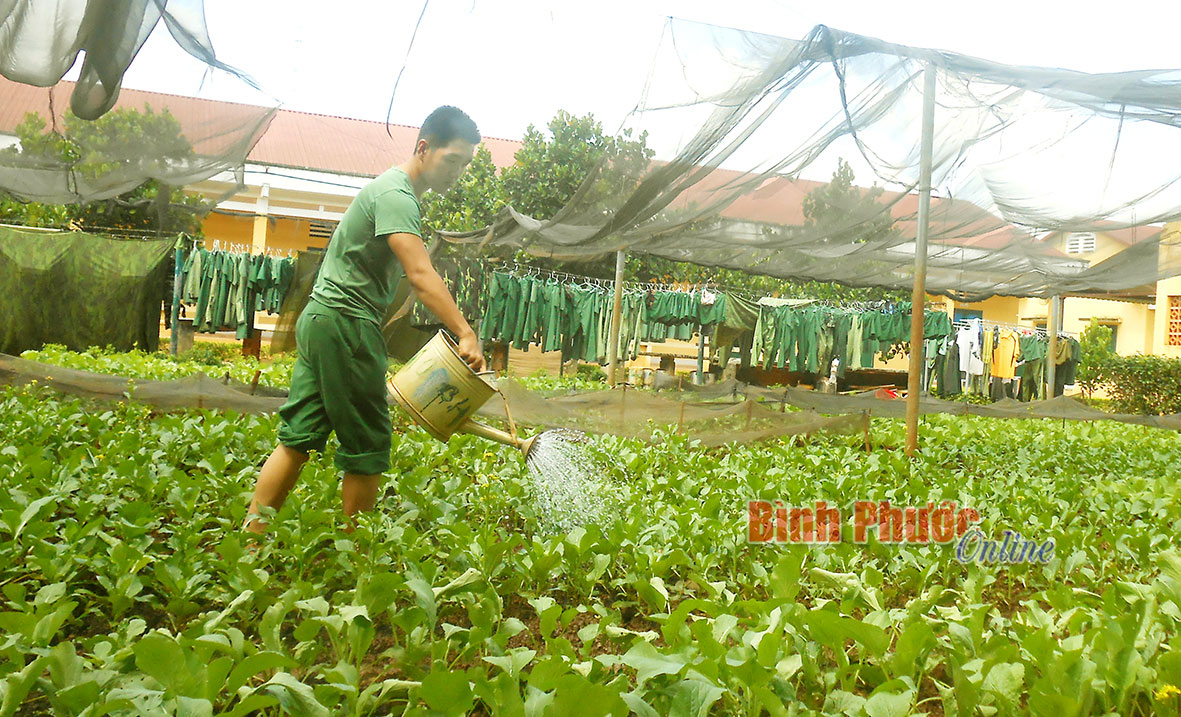 “Môi trường quân đội giúp chúng tôi trưởng thành”