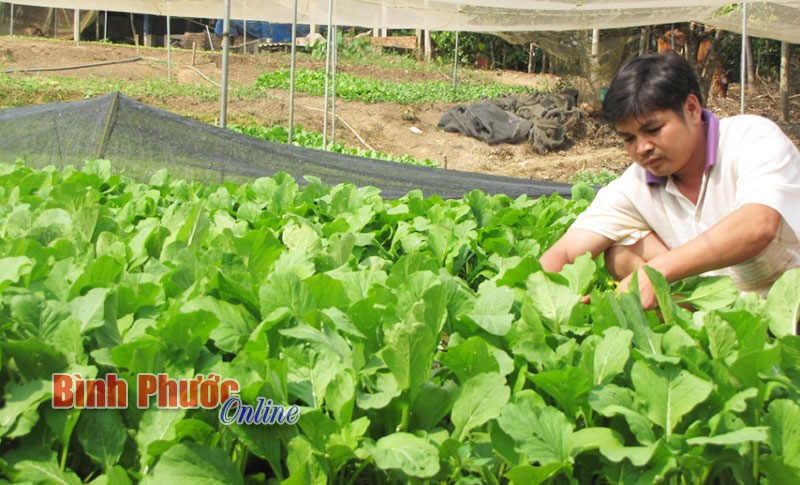 2,6 tỷ đồng hỗ trợ hội viên nông dân nghèo trong quý III/2016