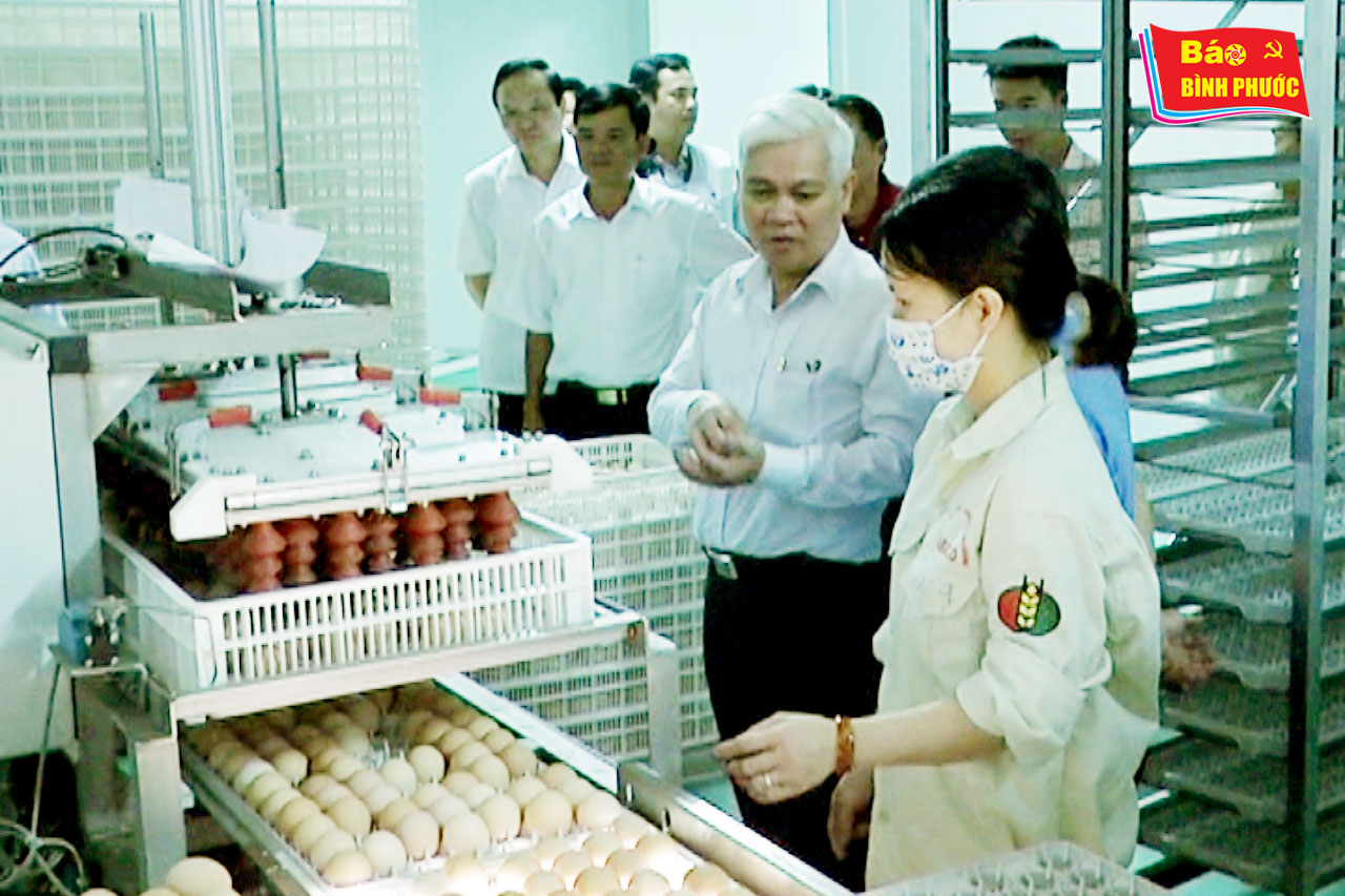 [Video] Bí thư Tỉnh ủy Nguyễn Văn Lợi làm việc với Công ty cổ phần Tập đoàn Dabaco Việt Nam