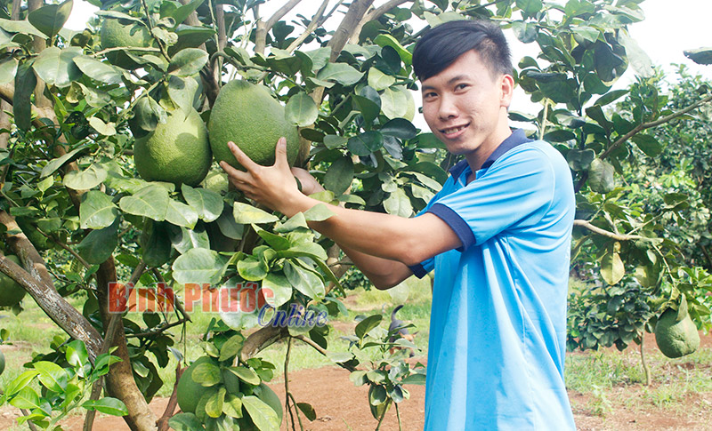 Bí thư đoàn dám nghĩ, dám làm