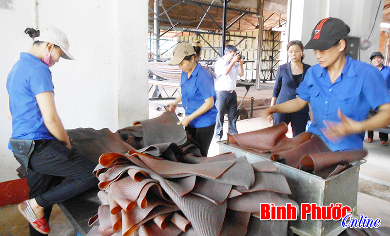 Bộ Công thương sẽ hỗ trợ doanh nghiệp thay đổi cơ cấu chủng loại cao su