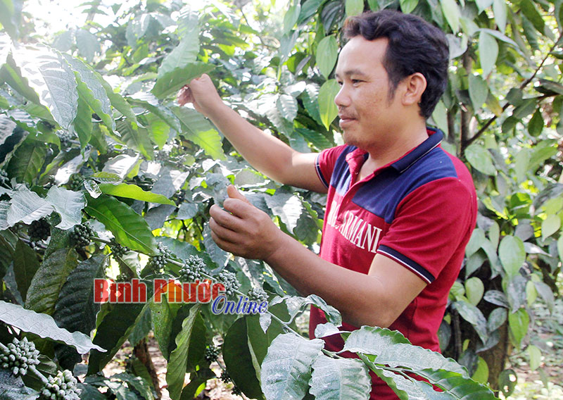 Cán bộ thôn gương mẫu và biết làm giàu