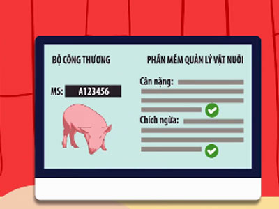 Kiểm tra thịt heo bằng smartphone như thế nào