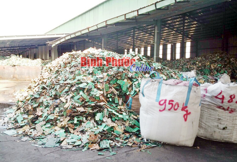 Công ty CEM giải trình về hoạt động của đơn vị