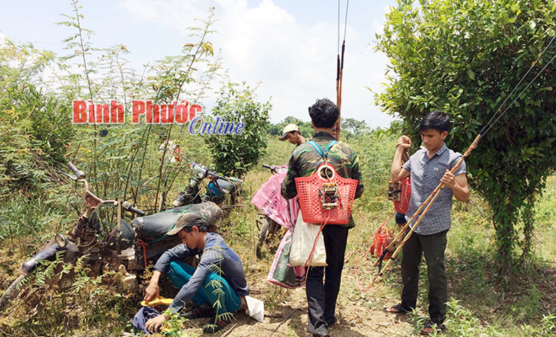 Đánh bắt cá bằng xung điện: Chưa xử lý triệt để