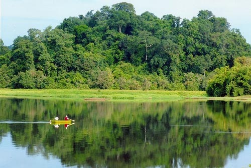 Thu tiền dịch vụ môi trường rừng 243,72 triệu đồng