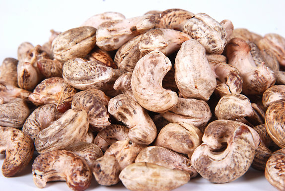 Cơ sở chế biến điều phát triển ở các tỉnh biên giới Trung Quốc