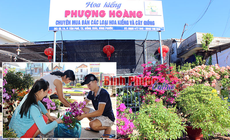 “Làm nông” trên phố