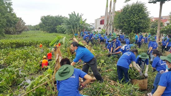 TPHCM: Hơn 100.000 thanh niên tham gia Mùa hè xanh 2016