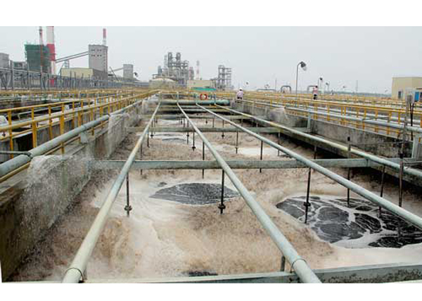 Không vì kinh tế mà đánh đổi môi trường