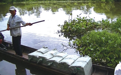 Bước đầu xác định nghi can đánh chết cán bộ QLTT ở Long An 