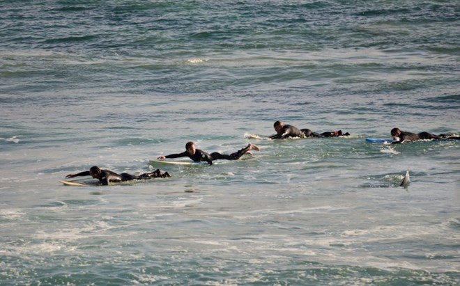 Rùng mình cảnh cá ​mập bơi lởn vởn quanh 4 người lướt sóng