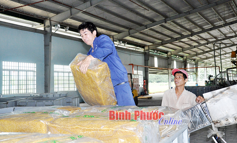 Làm gì để tăng thu ngân sách từ doanh nghiệp?