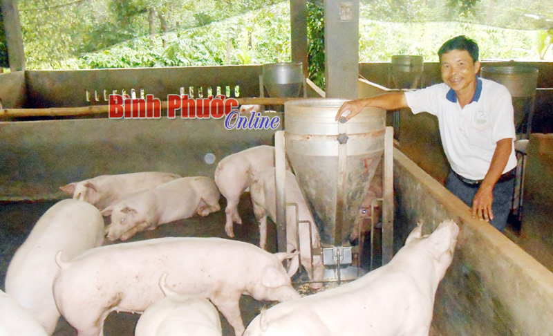 Làm giàu từ kết hợp trồng trọt và chăn nuôi