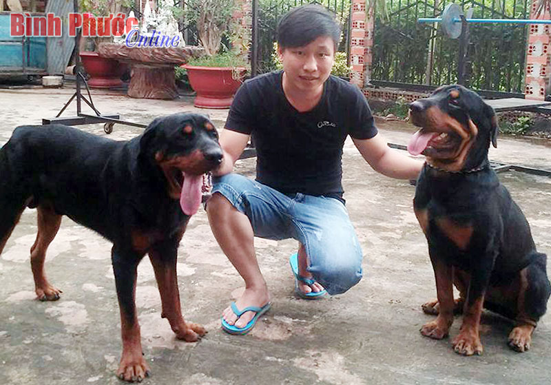 Làm giàu từ những việc đơn giản