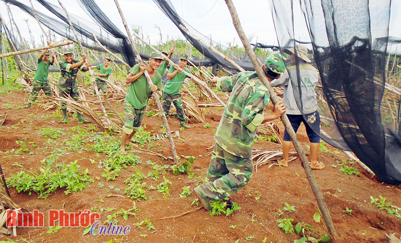 Lốc xoáy tàn phá vùng trồng tiêu trọng điểm Lộc Khánh
