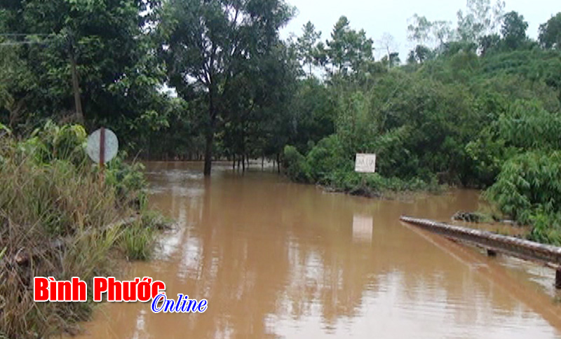 Bị tử vong do lũ quét