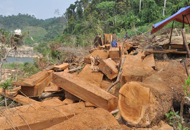 9 th&aacute;ng, to&agrave;n tỉnh xảy ra 117 vụ vi phạm l&acirc;m luật