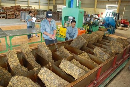 6 tháng, Việt Nam XK 429.000 tấn, NK 196.000 tấn cao su thiên nhiên