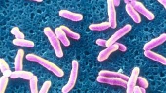 Thêm 4 ca ở Tân Lợi soi tươi dương tính với bệnh bạch hầu