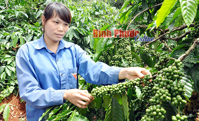 Những phụ nữ &ldquo;Giỏi việc đơn vị, đảm việc nh&agrave;&rdquo;