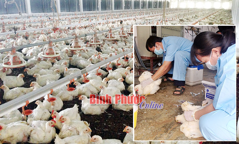 Nông nghiệp - cần sự vào cuộc của “4 nhà”