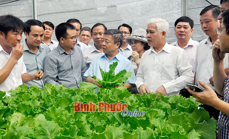 Giúp nông sản Bình Phước vươn ra thị trường thế giới