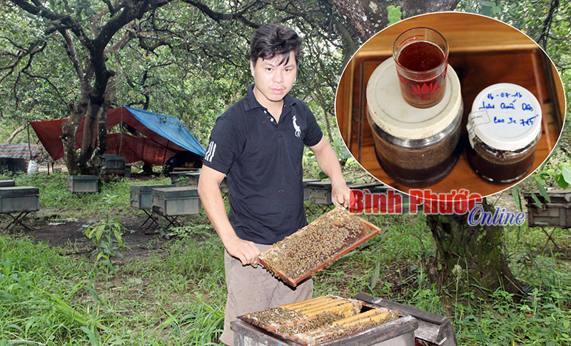 Tuột mất cơ hội vàng vì mật ong không nhãn mác