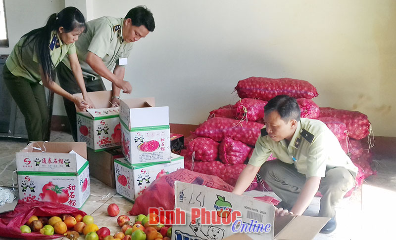 Quản lý thị trường Bù Đăng tiêu hủy trái cây không rõ nguồn gốc