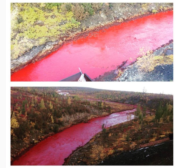 Cư dân kinh hãi vì nước sông bất ngờ đổi màu đỏ như máu