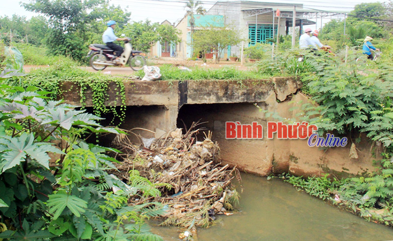 Suối giữa lòng phố - tại sao không? - Bài 1