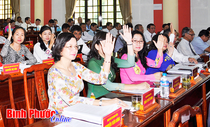 B&igrave;nh Phước ph&ecirc; duyệt kế hoạch ph&aacute;t triển kinh tế - x&atilde; hội đến năm 2020