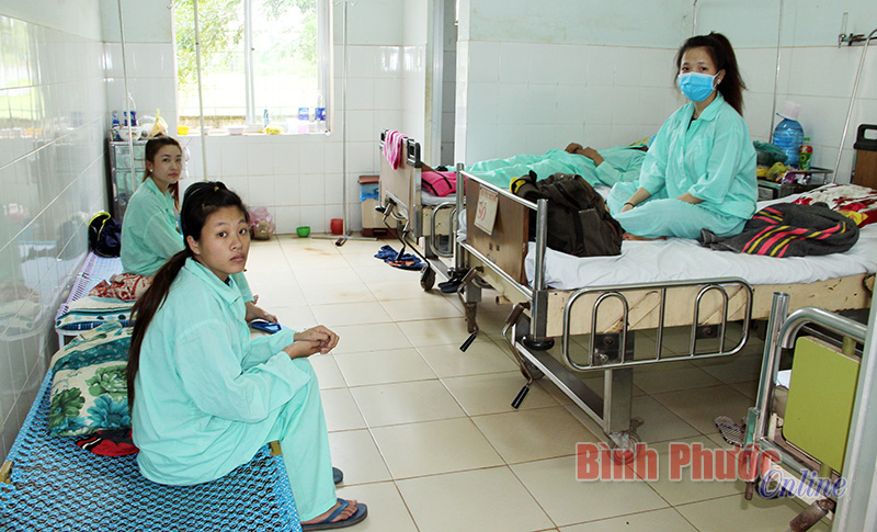 Thả muỗi vào nhà để... phòng chống sốt xuất huyết 