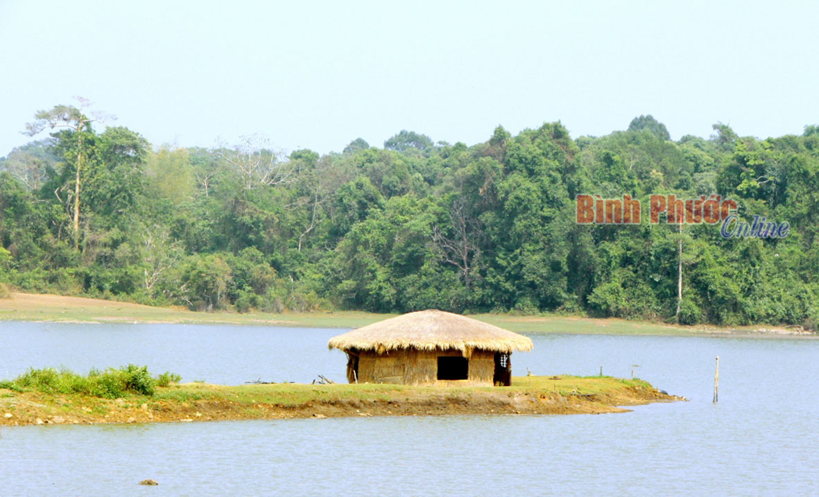Cần đẩy nhanh tiến độ Dự &aacute;n phim trường kết hợp du lịch sinh th&aacute;i trảng cỏ B&ugrave; Lạch