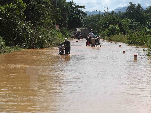 Nghệ An có 8 người chết và mất tích do ảnh hưởng của mưa lũ