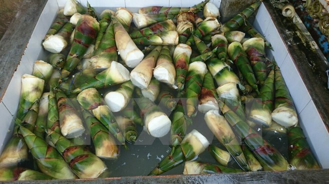 Hơn 12 tấn măng ngâm chất tẩy độc hại dùng cho vải sợi