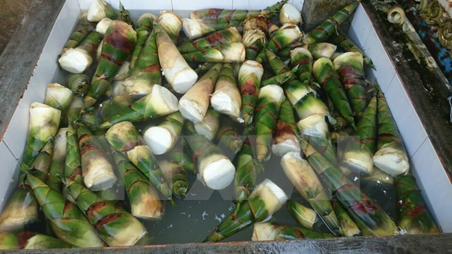 Phát hiện gần 300kg măng ngâm hóa chất chuẩn bị tuồn vào TP.HCM