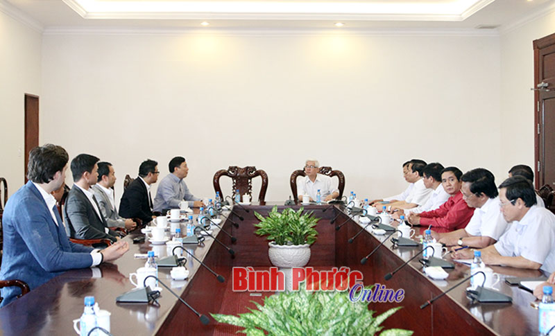 Xây nhà máy sản xuất điện năng lượng mặt trời tại xã Tân Hòa