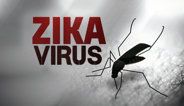 Bỉ ghi nhận 32 ca nhiễm virus Zika sau khi du lịch vùng có dịch