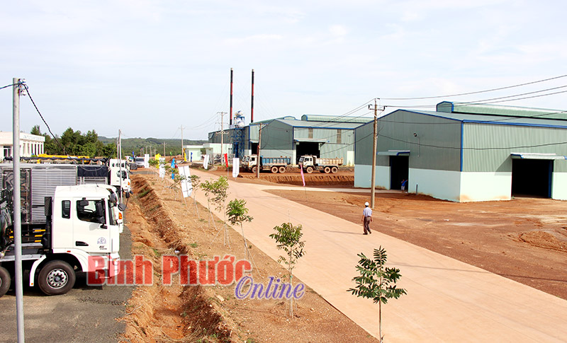 Bảo vệ m&ocirc;i trường l&agrave; ph&aacute;t triển bền vững