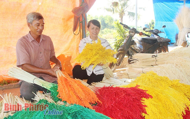 20 năm gắn hồn v&agrave;o nh&aacute;nh hoa kh&ocirc;