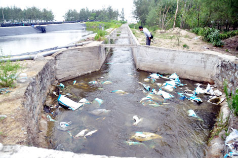 Phương pháp xác định phí nước thải