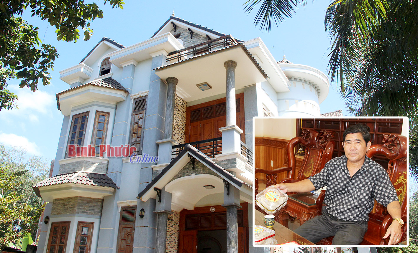 Nuôi chim trời - tại sao không?