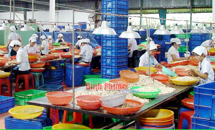 Thị ủy Phước Long: Điển h&igrave;nh ph&aacute;t triển đảng ở khu vực tư nh&acirc;n