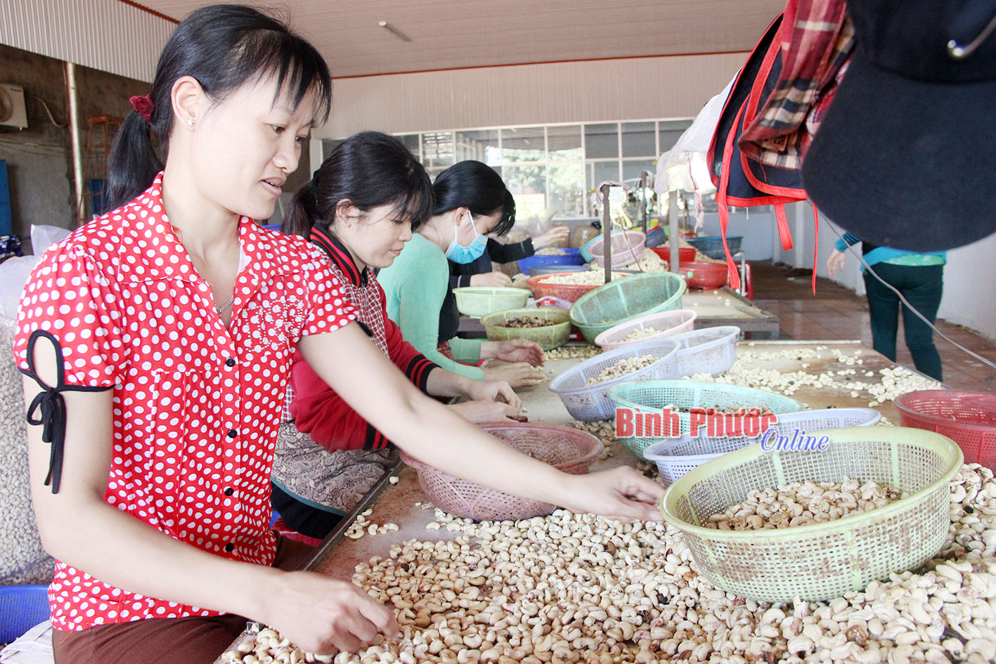 Ph&aacute;t triển c&ocirc;ng nghiệp, tiểu thủ c&ocirc;ng nghiệp ở x&atilde; v&ugrave;ng s&acirc;u